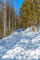 The road between the trees on the mountainside against the blue sky in winter