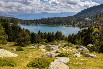 Summer landscape in La Cerdanya, Pyrenees mountain lake, Catalonia, Spain.