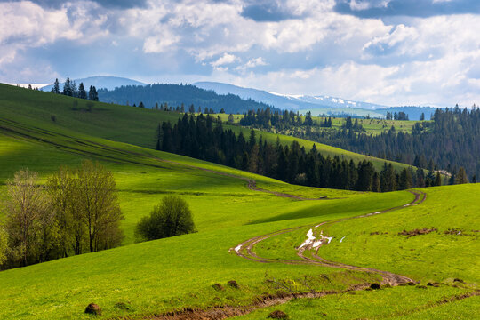 forest on the grassy hills an meadows. mountain landscape in spring rolling in to the distant ridge. sunny weather with clouds. green nature scenery in dappled light