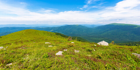 Fototapeta na wymiar mountain landscape on borzhava ridge in summer. beautiful scenery of green carpathian nature. panoramic view on a sunny day