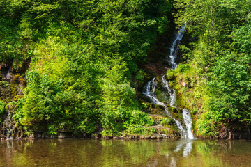 Fototapeta na wymiar small waterfall stream in the forest. refreshing scenery in summer. beautiful nature background. reflection in crystal clear water of the river pool