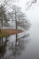 Foggy morning in the park. Pushkin, Saint Petersburg, Russia. 