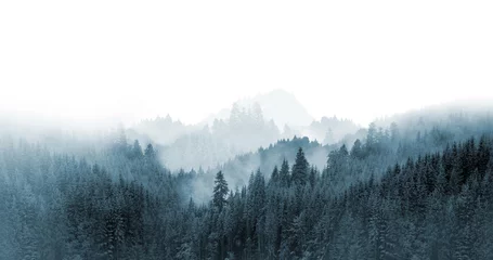 Poster Groen bergbos in de mist. Altijdgroene sparren en pijnbomen op de hellingen. © Belight