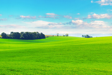 Spring field with tender green grass and picturesque blue sky with white clouds, rural view