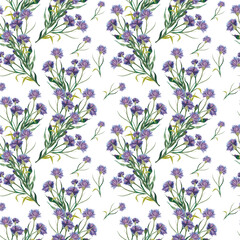 seamless pattern of cornflowers branch
