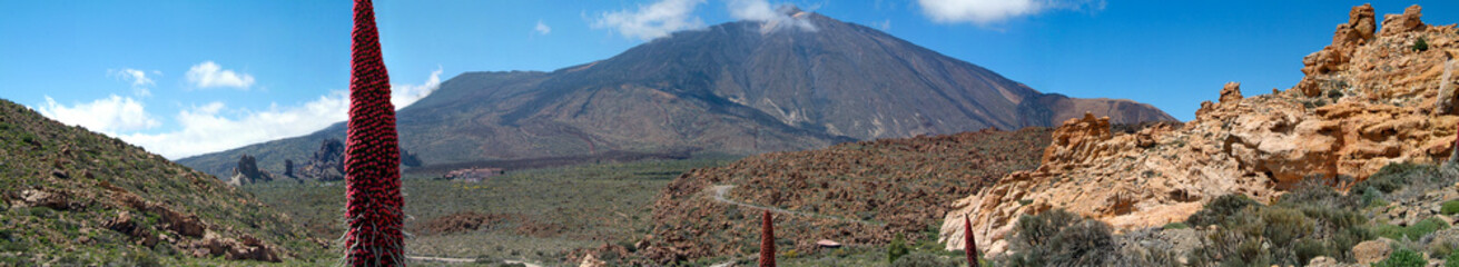 Panoramic view of Teide National Park with Red Tajinaste, endemic plant, in Tenerife, Canary Islands,