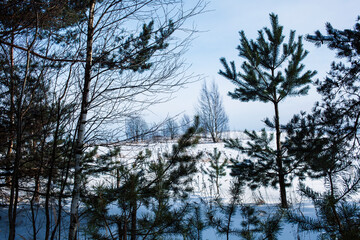winter day landscape, snow hills and nature