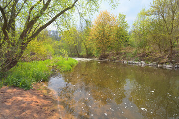 Sunny spring landscape. Trees at riverbank. At the River Enz in Oberriexingen, South Germany