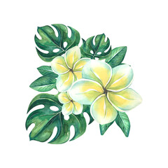 illustration watercolor beach bar frame decoration set of elements cocktail blueberry watermelon plumeria sunglasses glass monstera inflatable circle flamingo postcard banner menu poster clothes