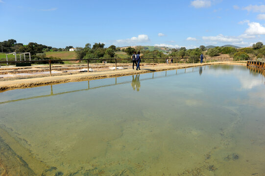 Salinas de Iptuci en Prado del Rey, provincia de C&aacute;diz Andaluc&iacute;a Espa&ntilde;a. Proceso tradicional de producci&oacute;n de sal 
