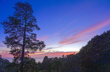Winter Sunset, Cambria