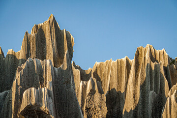Close up of strongly eroded limestone pillars in Shilin Stone Forest, Yunnan province, China
