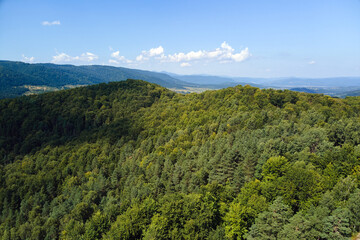 Fototapeta na wymiar Aerial view of mountain hills covered with dense green lush woods on bright summer day