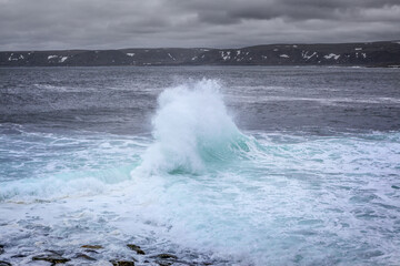 Fototapeta premium Big wave in the sea in a fjord in northern Norway