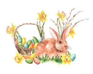 Easter bunny and basket watercolor composition. Daffodils, willow branches, rabbit, basket of eggs. Nature. Spring. Happy Easter. Yellow, orange, green, blue colors. Illustration isolated. Postcard