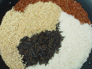  5 Tipos de arroces diferentes en grano