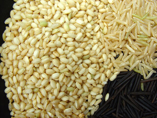 Detalle de arroz blanco y negro