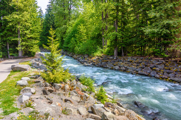 Obraz premium Majestic mountain river in Canada.