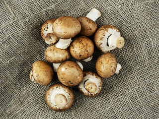 Champignon mushrooms crop in heap on textile background top close view. Organic produce farm cultivation.