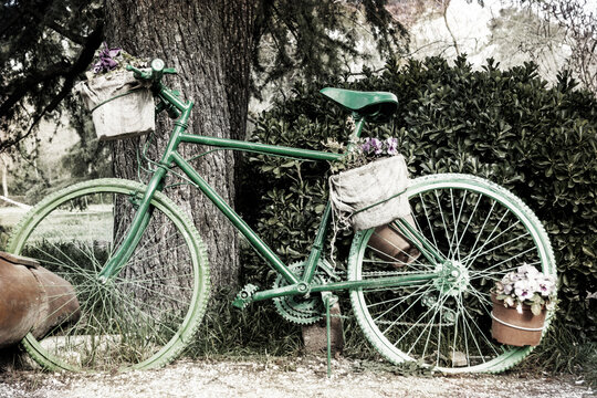 Vintage painted green bicycle carrying potted flowers