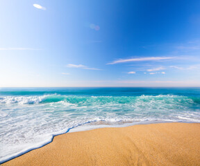 beautiful beach and tropical sea