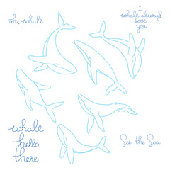 Set of six humpback whales and lettering phrases minimalist simple outline vector logo illustration. Contour whale drawing on white background