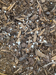 close up of a pile of wood chips
