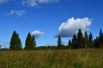 Russia, Vologda Region, village of Molodezhskoye, Poklonny krest