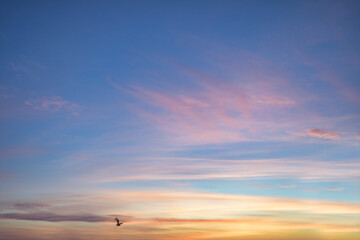 Himmel Wolken