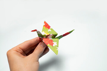 Man holding origami crane bird, interesting hobby , white background 