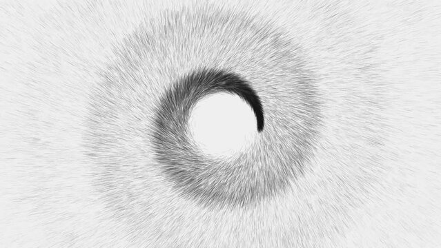 Elegant black and white spiral of particles background. Black particles spiraling and radiating outwards. This minimalist motion background animation is full HD and a seamless loop.