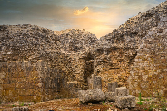 Ru&iacute;nas de Castelo de Con&iacute;mbriga.
Conimbriga Castle ruins.
