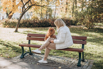 The beautiful young woman with dog sits on a bench in the park. Ginger pomeranian spitz in the golden autumn park on a sunny day. Caring for a pet, web banner