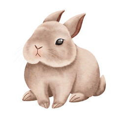 Cute little bunny. Card for Easter.