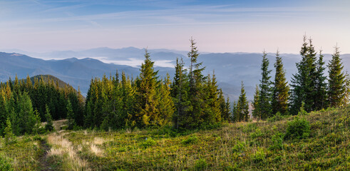 Panorama morning view of the Carpathian mountains. Morning on the Montenegrin ridge, Transcarpathia, Ukraine, Europe. Beauty of nature, background concept
