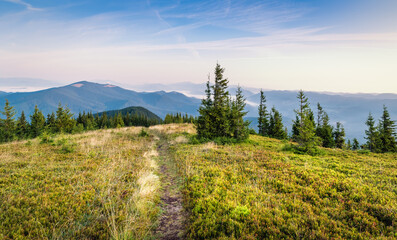 Bright Carpathian landscape in the morning light with beautiful green grass and blue sky. Panoramic view. Beauty of nature, background concept