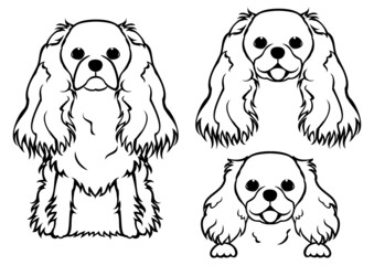 Cavalier spaniel sitting and peeking line art design