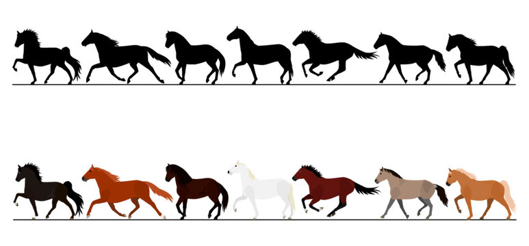 moving horse in a row with colours and silhouettes