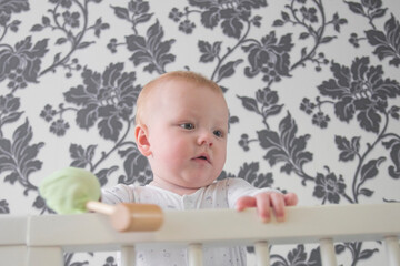 Small child in playpen