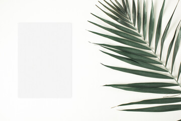 Tropical a5 mockup with palm leaf