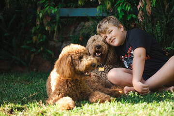 Boy sitting on grass with two Golden Doodle dogs