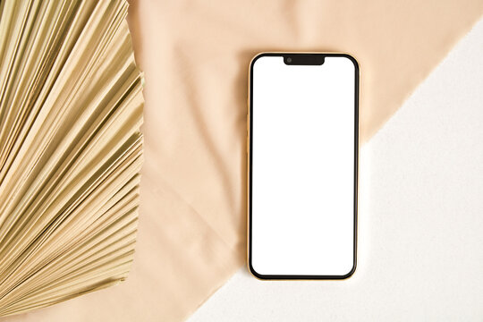 Phone mockup white screen with dry grass palm leaf
