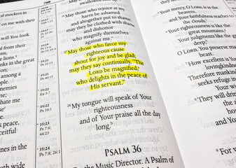 Psalm Chapter thirty five verse twenty seven