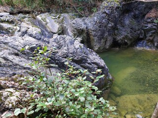 San Michele Delle Formiche baths. Tuscany, Italy.