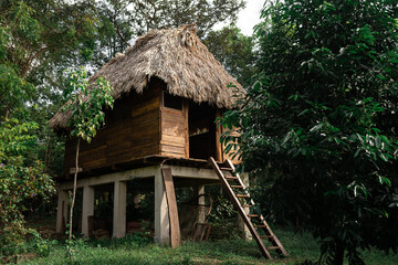 Fototapeta na wymiar Wood cabin with palm roof in the middle of the jungle