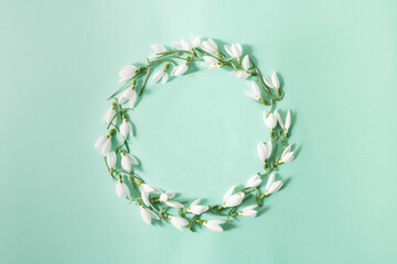 A wreath of snowdrop flowers on mint backgrounds. Flat lay. Spring minimum concept