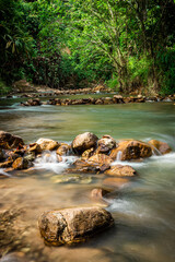 small stream in green forest  Yala Thailand