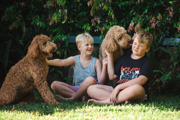 Boys sitting on grass with two Golden Doodle dogs