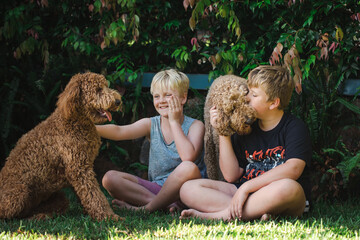 Boys sitting on grass with two Golden Doodle dogs
