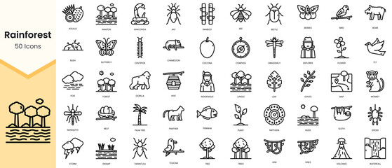 Simple Outline Set of rainforest icons. Linear style icons pack. Vector illustration